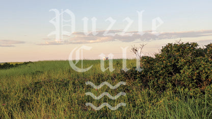 Dunegrass and Lifeguard Tower - Wood Jigsaw Puzzle - Miscroscene Series