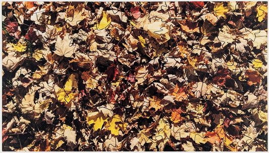 Fall Leaves - Wood Jigsaw Puzzle - Microscene Series