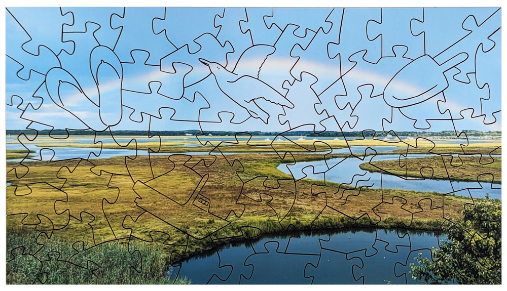 Nonesuch River Rainbow - Small Wood Puzzle - Microscene Series