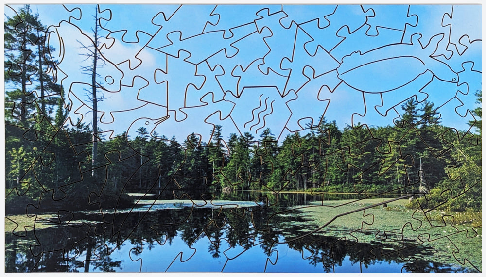 Pond Reflection - Wood Jigsaw Puzzle - Microscene Series