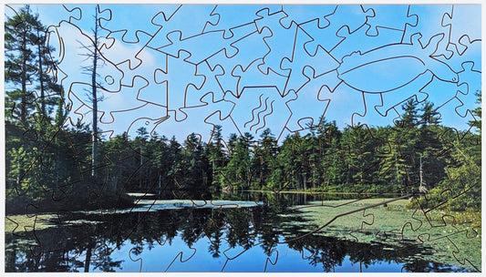 Pond Reflection - Wood Jigsaw Puzzle - Microscene Series